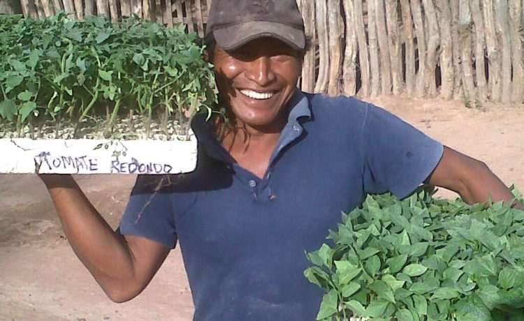 Pedro and tomato and peppers plants